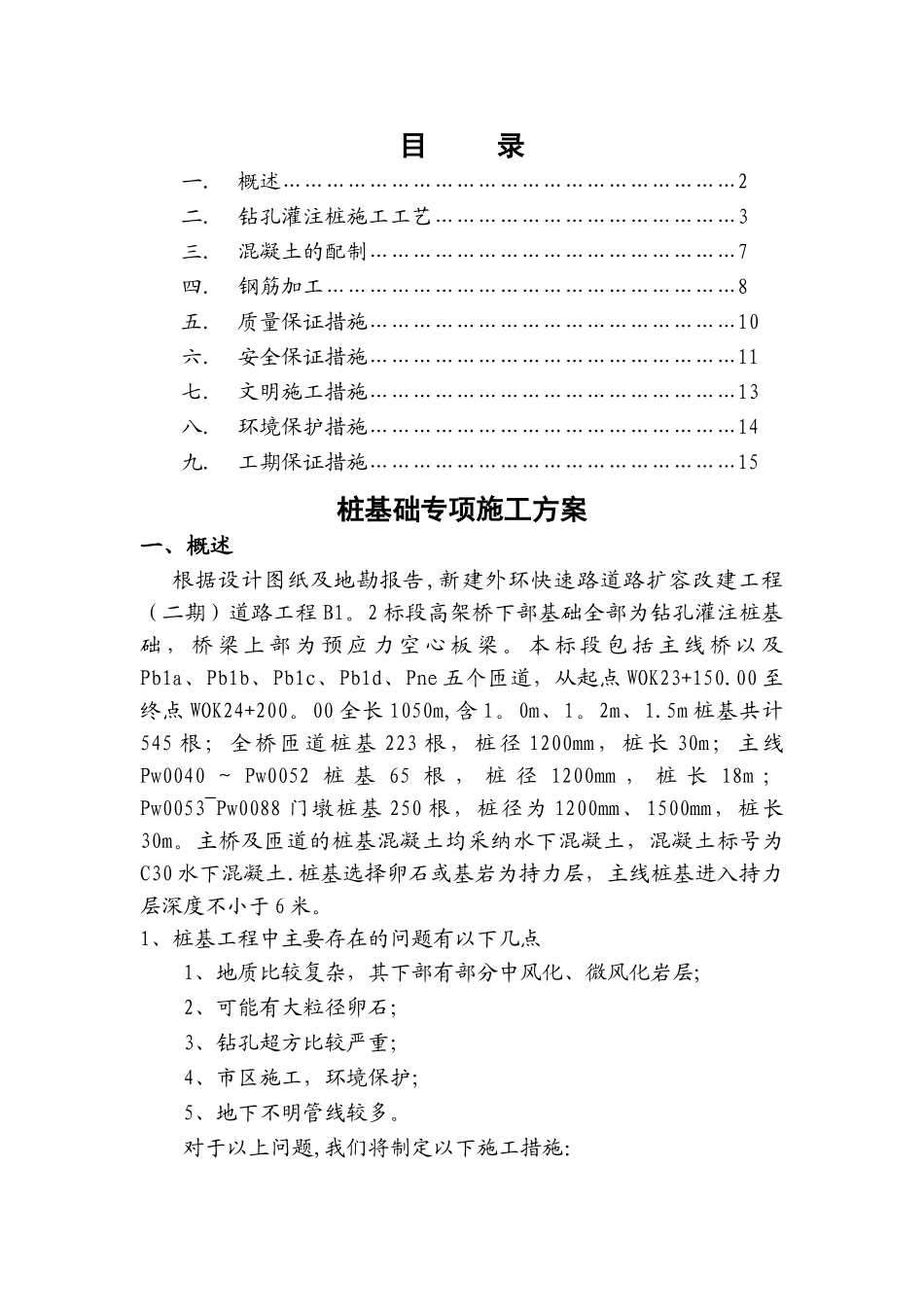 水下钻孔桩专项施工方案_第1页