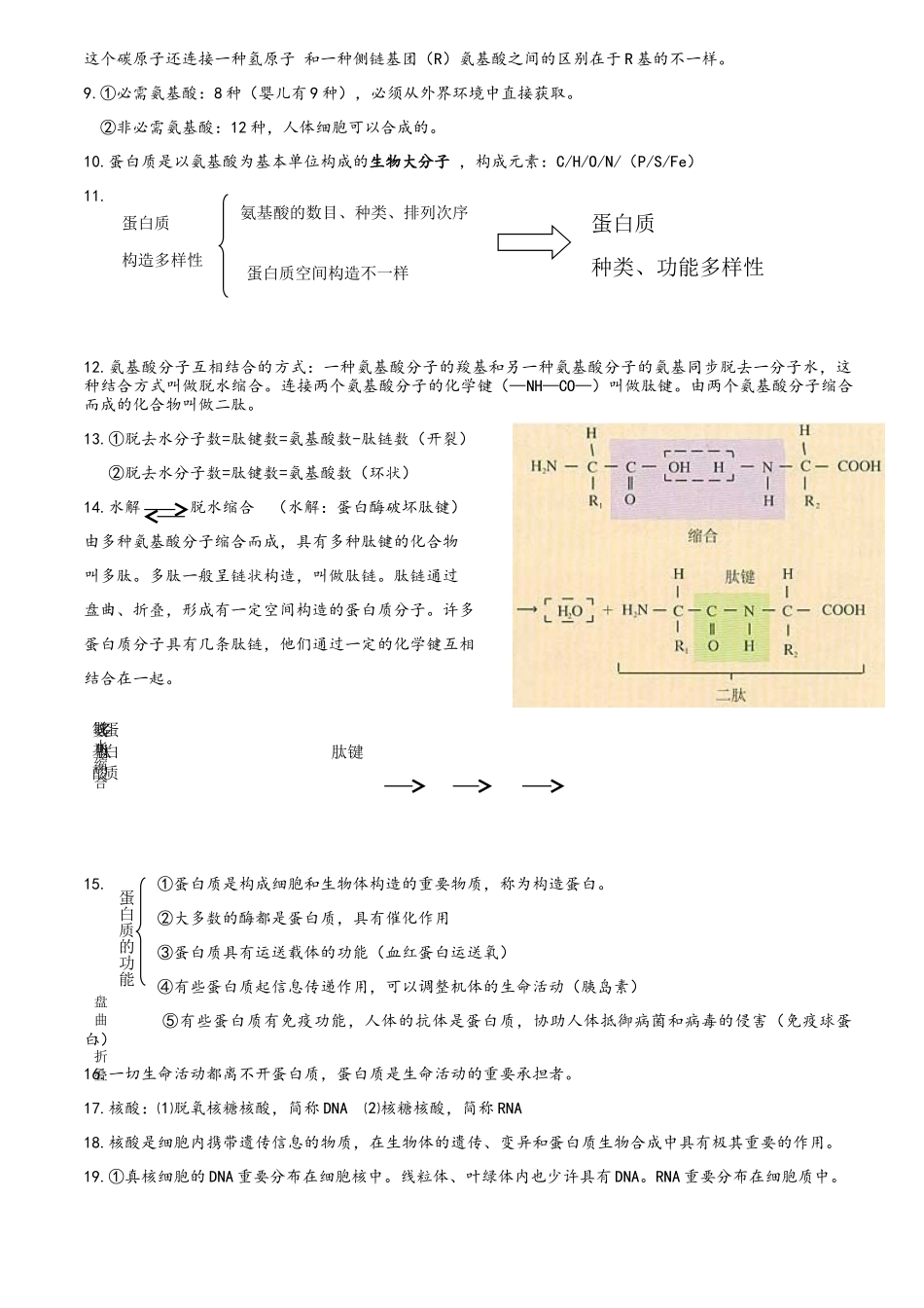 2025年高一生物必修一知识点大全_第3页
