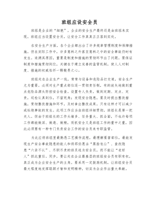 2025年班组应设安全员