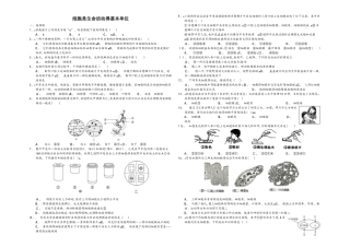 2025年山东省乐陵市致远中学初三复习知识点细胞是生命活动的基本单位解析版