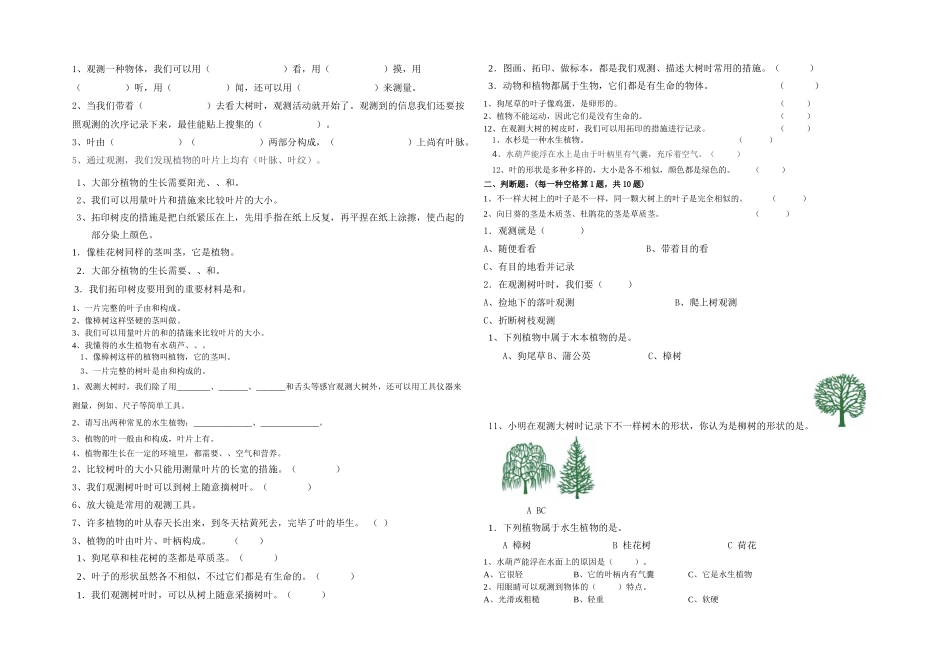 2025年教科科学三年级上册题库_第1页