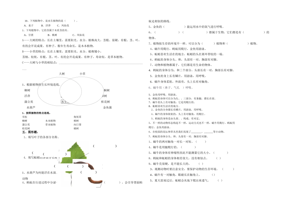 2025年教科科学三年级上册题库_第2页