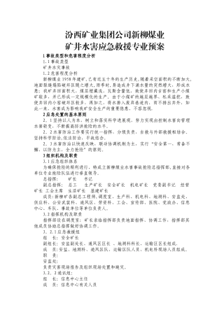 水害应急救援专业预案