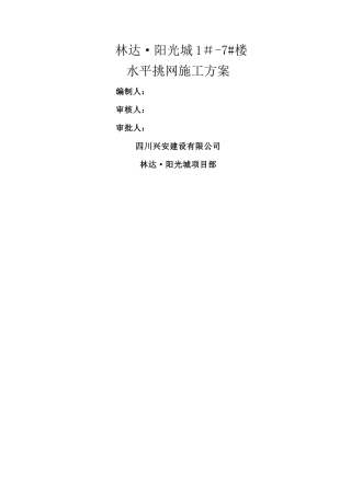 水平挑网施工方案