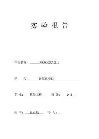 2025年Linux程序设计实验报告大作业