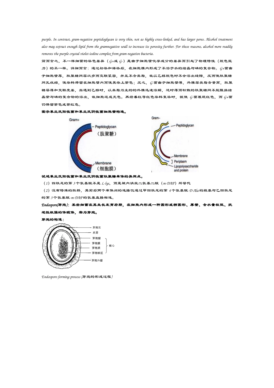 2025年微生物学英文题库_第2页