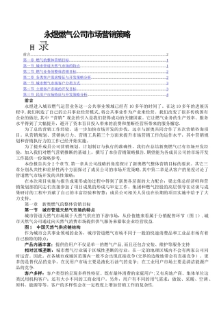 永煜燃气公司市场营销策略
