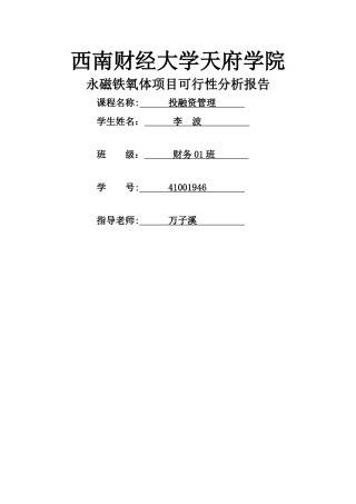 永磁铁氧体项目可行性分析报告