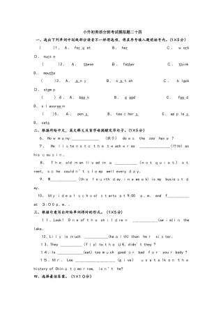 2025年六年级下册英语试题小升初英语分班考试模拟题24 全国通用