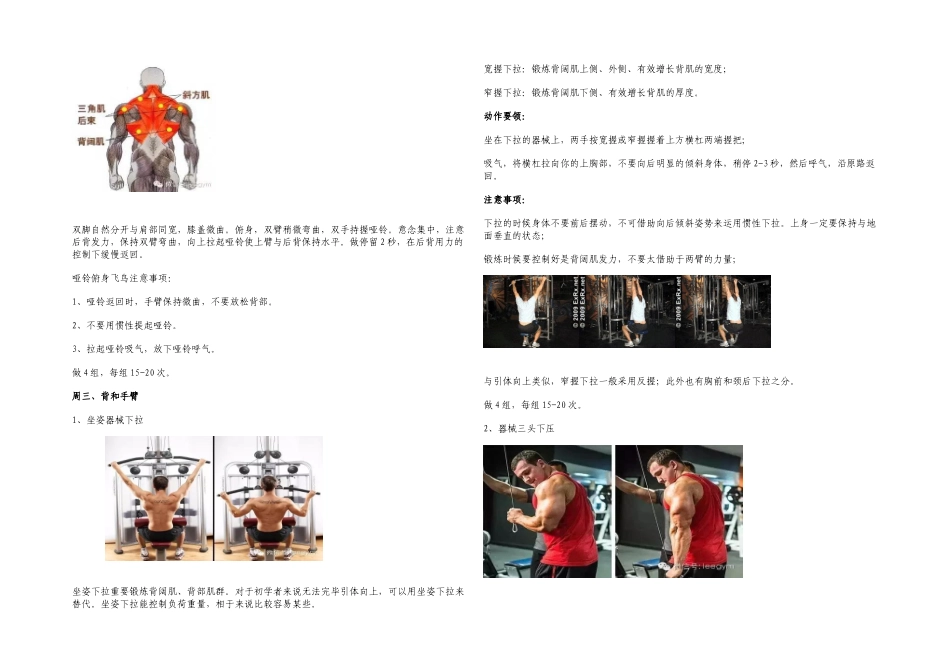 2025年健身新手的饮食计划健身计划_第2页