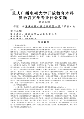 汉语言文学专业社会实践报告