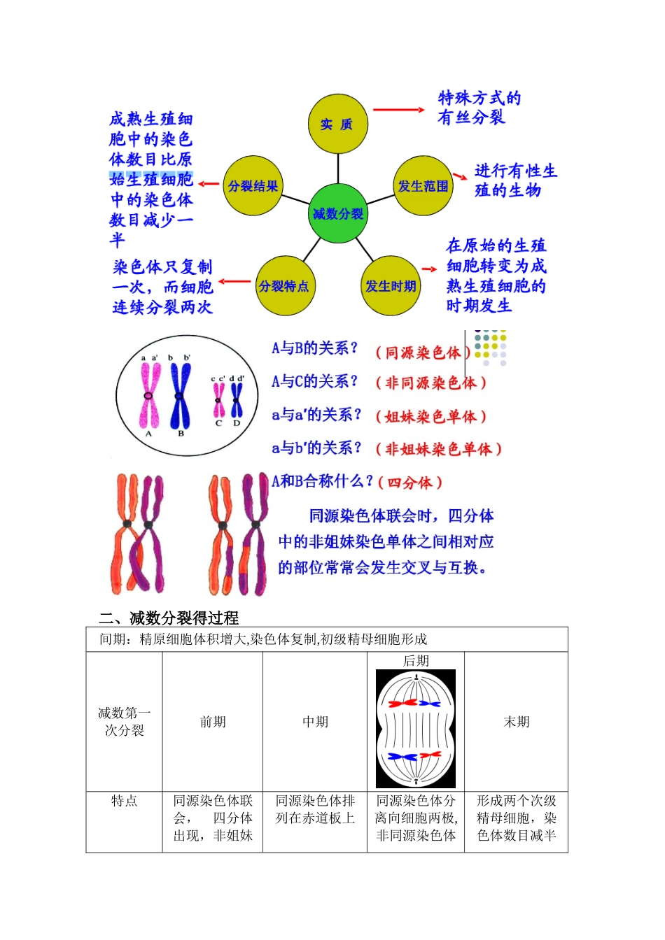 2025年高中生物必修二有丝分裂减数分裂总结知识点_第3页