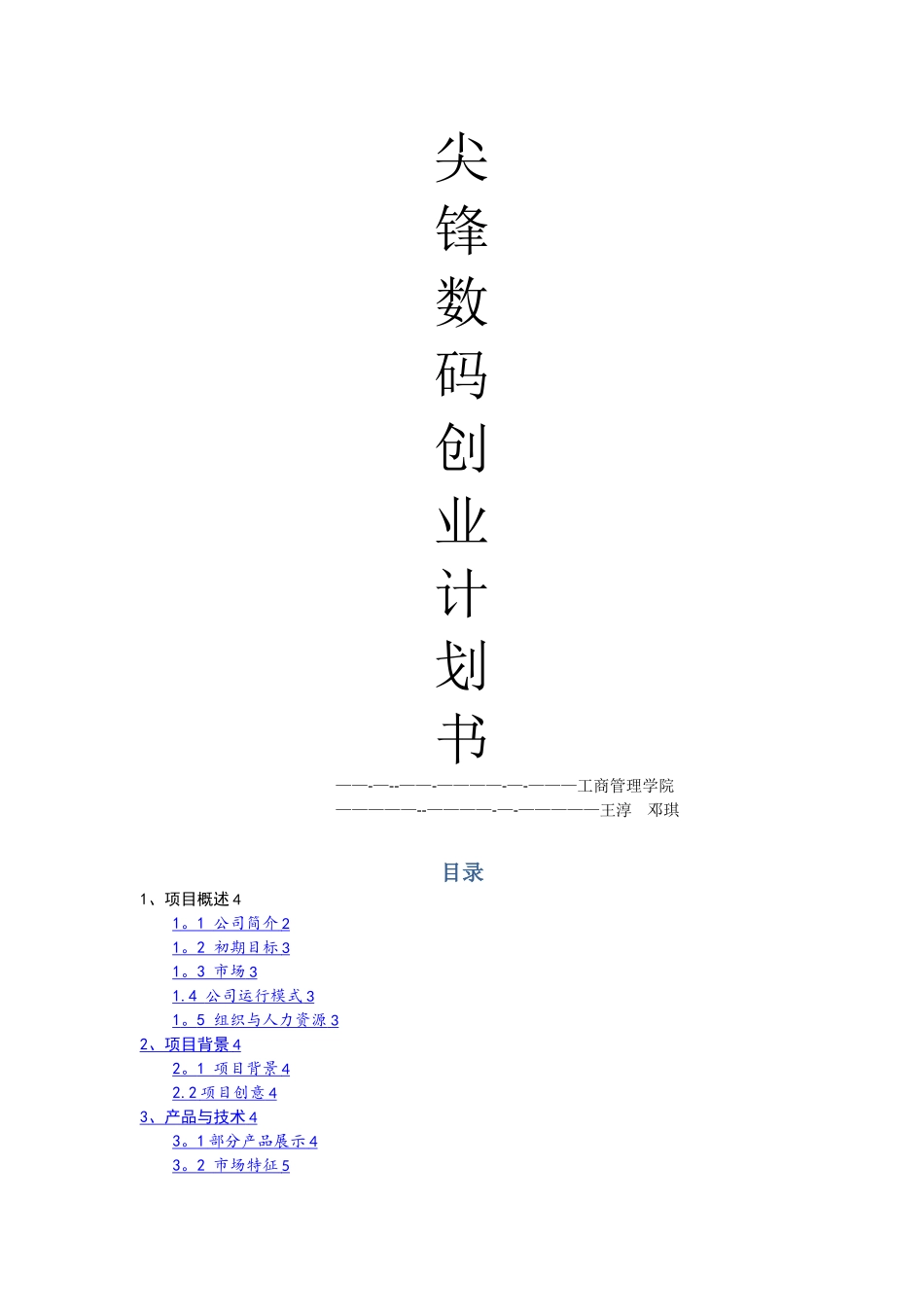江苏省尖峰数码有限责任公司计划书_第1页