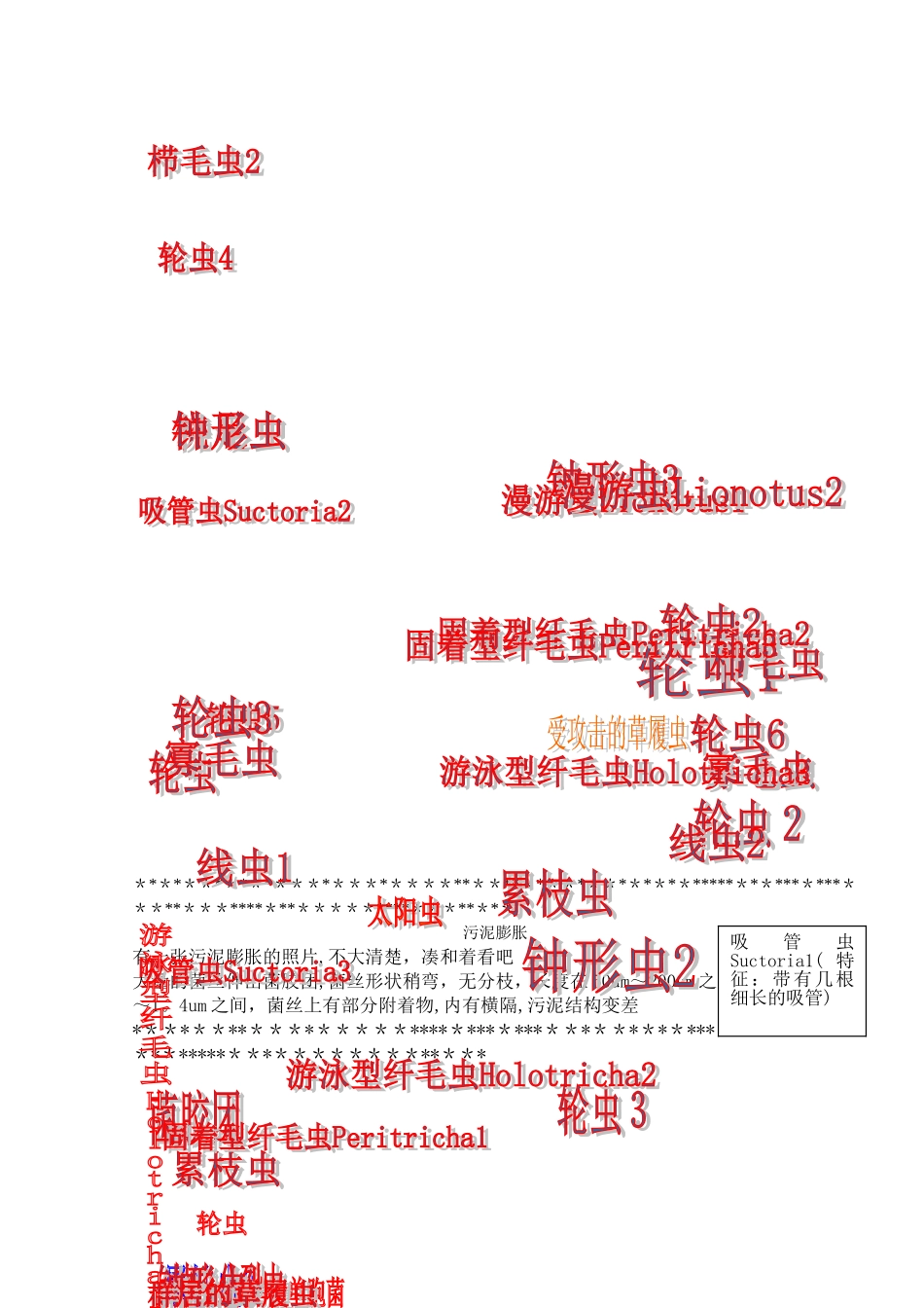 污水处理常见微生物照片-secret_第2页