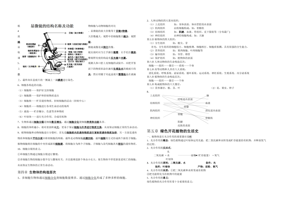2025年初一生物上册知识点归纳总结自创版_第2页