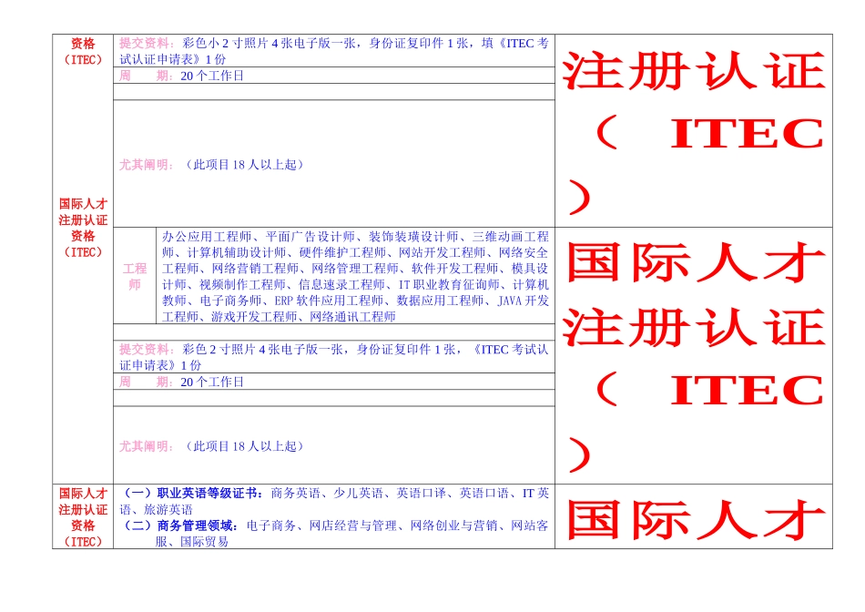 2025年国际人才注册认证考试项目_第2页