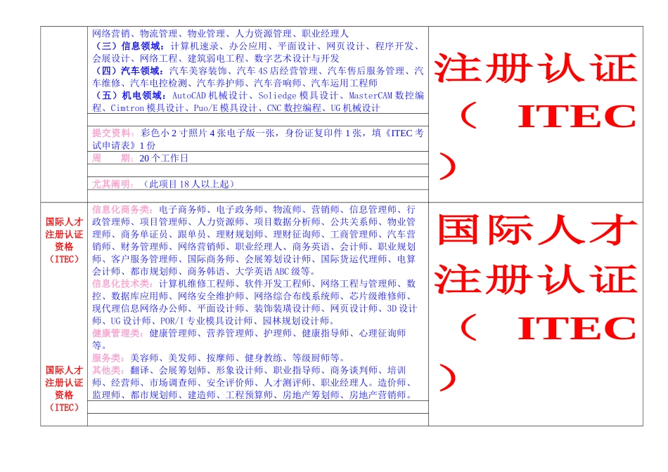 2025年国际人才注册认证考试项目_第3页