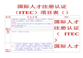2025年国际人才注册认证考试项目