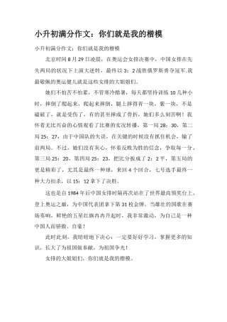 2025年小升初满分作文你们就是我的榜样