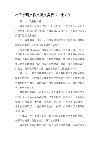 2025年小升初语文作文范文赏析二十八