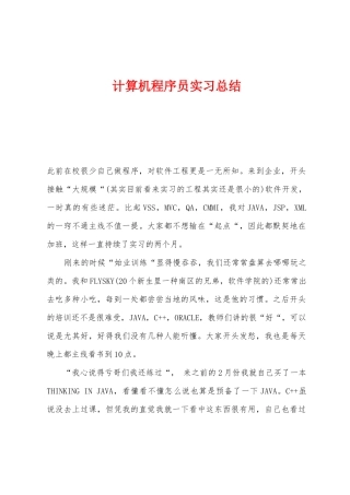 2025年计算机程序员实习总结