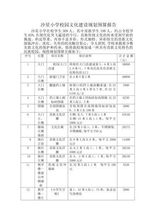 沙星小学校园文化建设规划预算报告