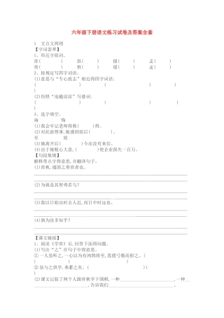 2025年六年级下册语文练习试卷及答案全套