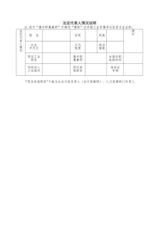 法定代表人情况说明