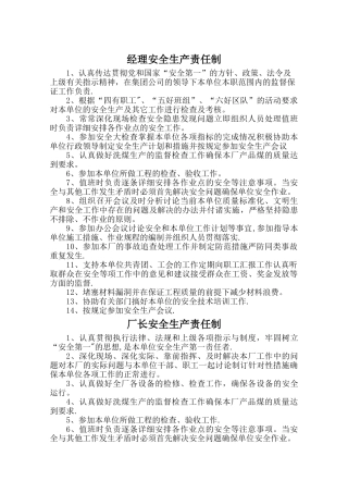 洗煤厂安全生产责任制