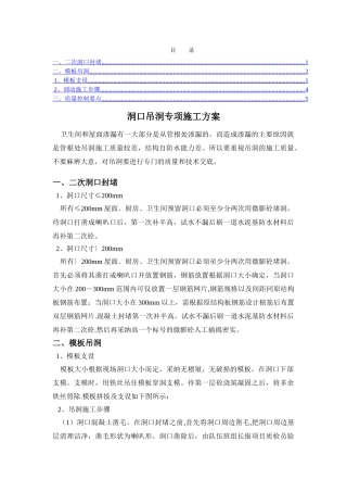 洞口吊洞施工方案