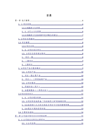 洞藏酒项目商业计划书