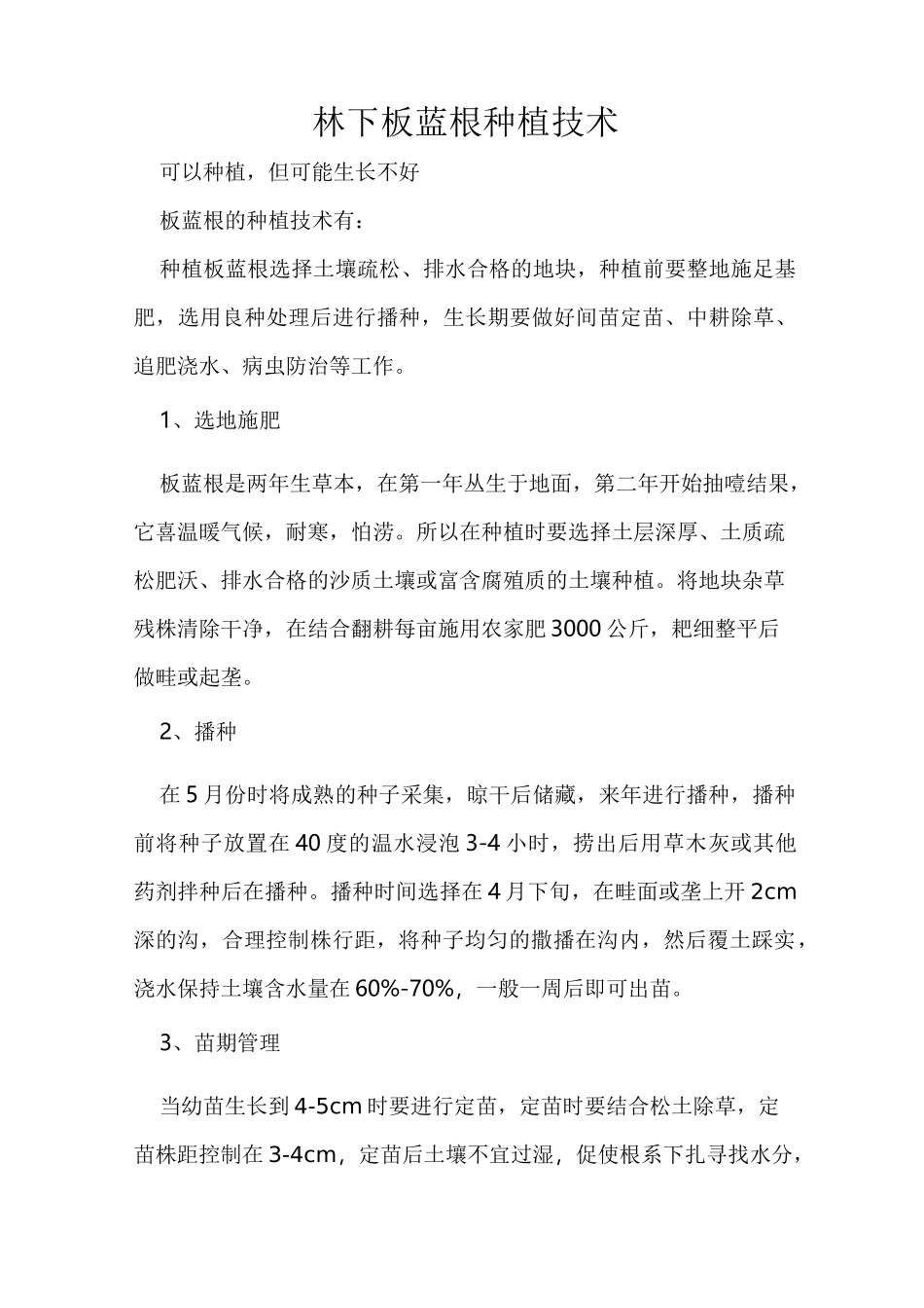 林下板蓝根种植技术_第1页