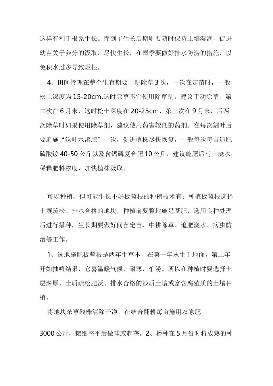 林下板蓝根种植技术_第2页