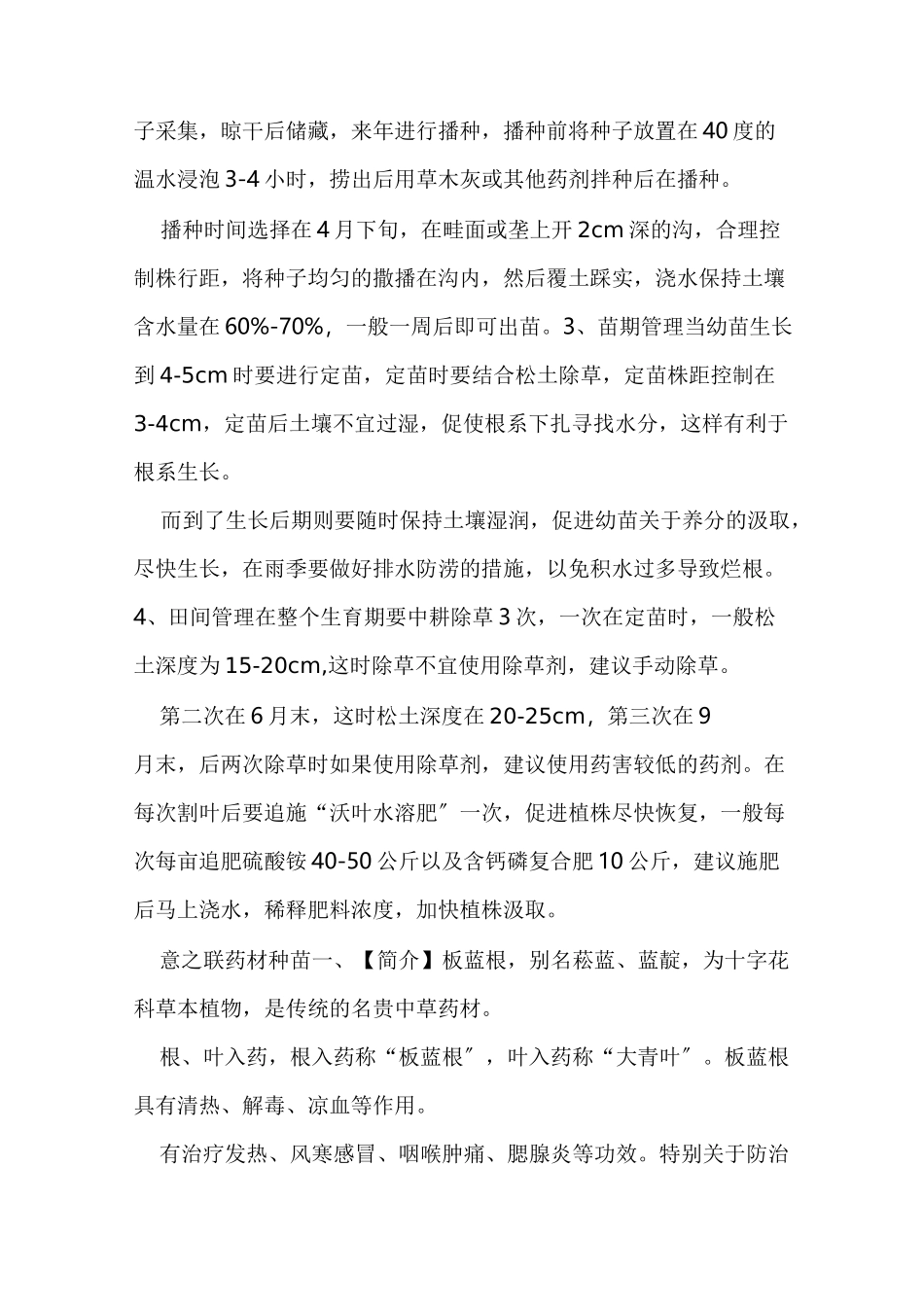 林下板蓝根种植技术_第3页