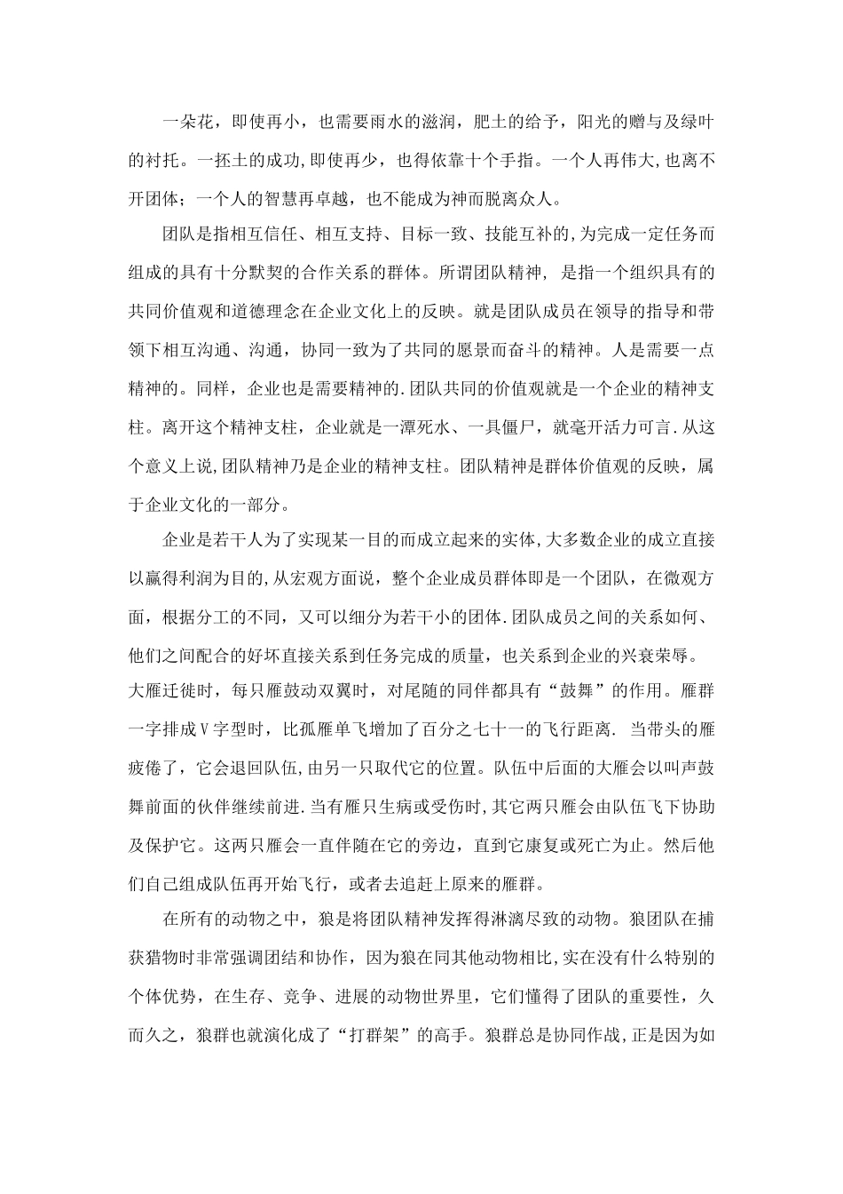 浅谈团队精神的重要性_第3页