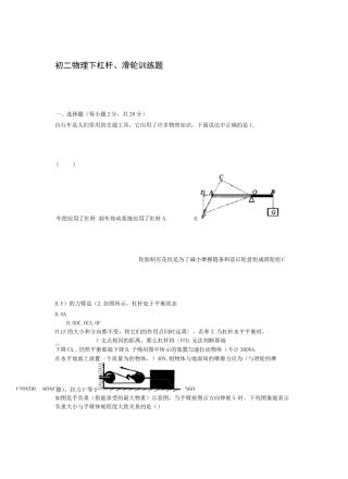 初二物理下杠杆滑轮训练题