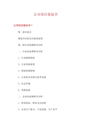 公司项目策划书【新版】