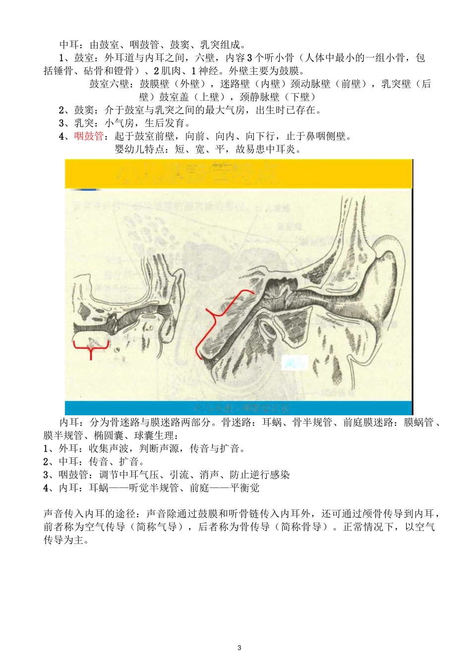耳鼻喉学总结重点_第3页