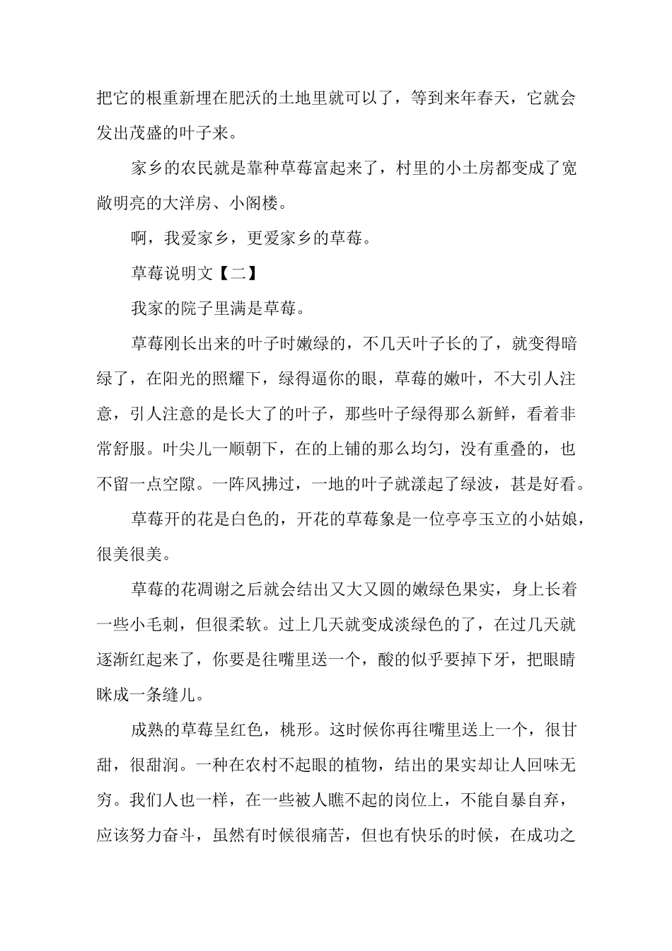 草莓说明文4篇_第2页