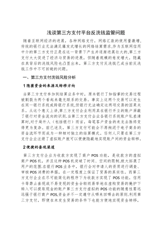 浅谈第三方支付反洗钱问题