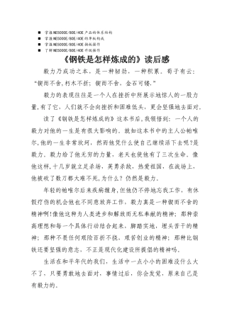 浅谈管理钢铁是怎样炼成的读后感