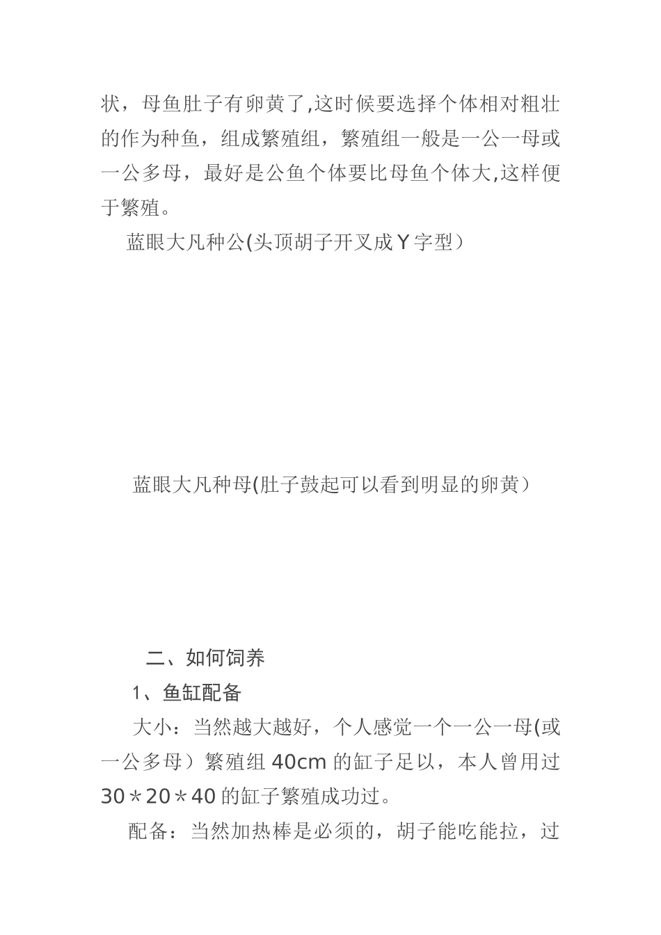 浅谈蓝眼大帆的繁殖_第2页