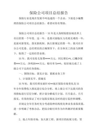 保险公司项目总结报告