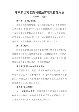 浦东新区南汇新城镇预算绩效管理办法