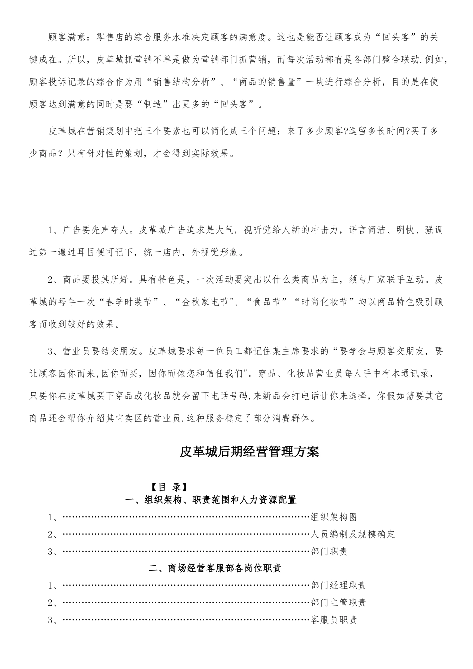 海宁皮革城营销策划方案_第3页