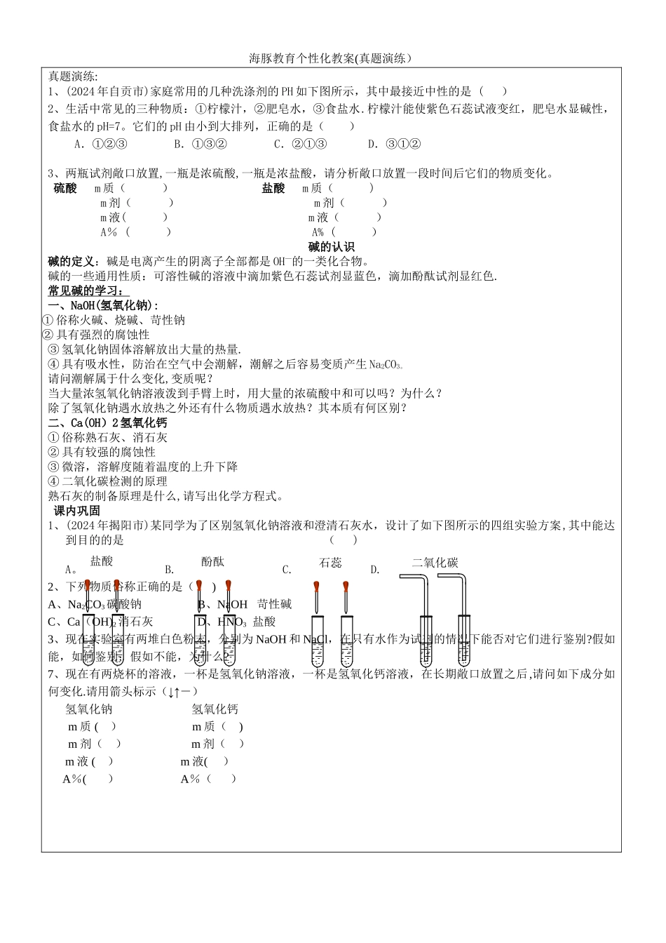 海豚教育个性化教案模板_第2页