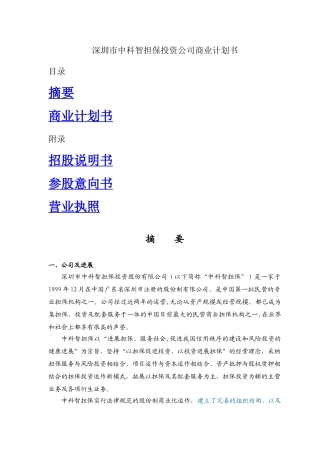 深圳市中科智担保投资公司商业计划书