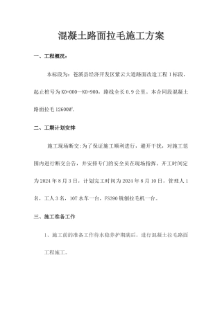 混凝土拉毛路面施工方案