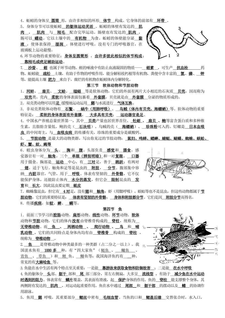 2025年初中八年级生物上册知识点总结_第3页