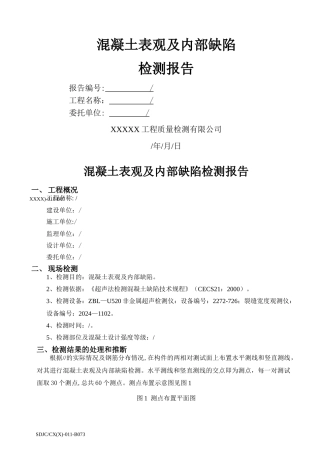 混凝土表观及内部缺陷检测报告模块